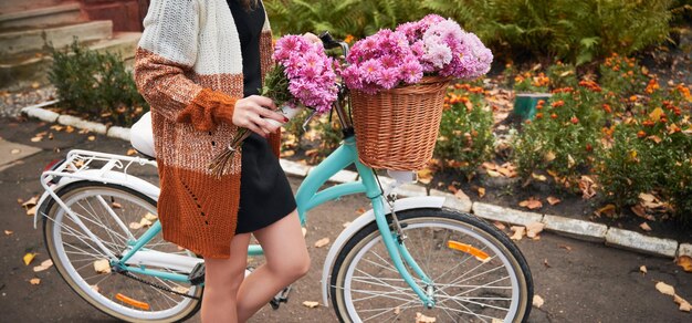 Female is riding bike with basket of pink chrysanthemum