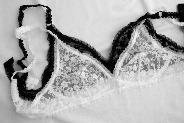 Foto gratuita disposizione lingerie femminile ancora in vita