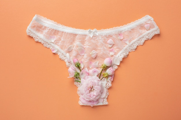 女性の生殖システムの概念のトップ ビュー