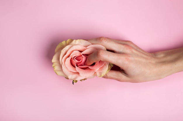 Female reproductive system concept with hand touching flower