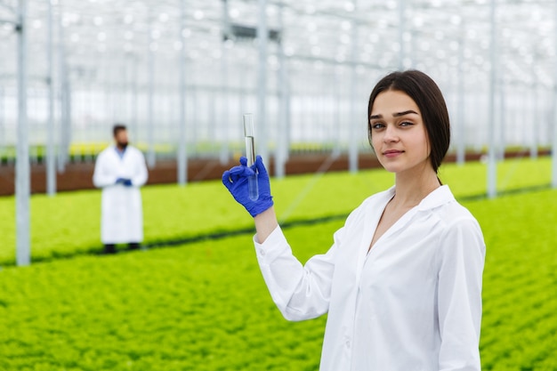 Female researcher holds a glass tube with a sample standing before plants in the greenhouse