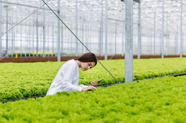 Foto gratuita il ricercatore femminile tiene una compressa che studia le piante nel greeenhouse