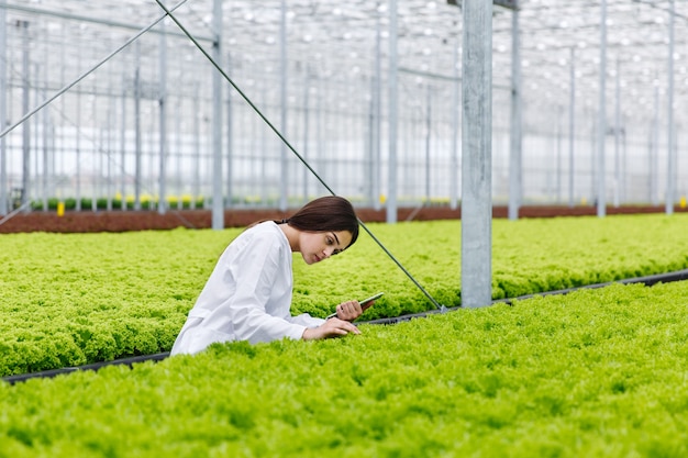 Female researcher holds a tablet studying plants in the greeenhouse