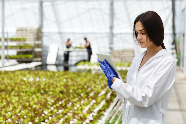 Female researcher reads information from a tablet standing in the greenhouse