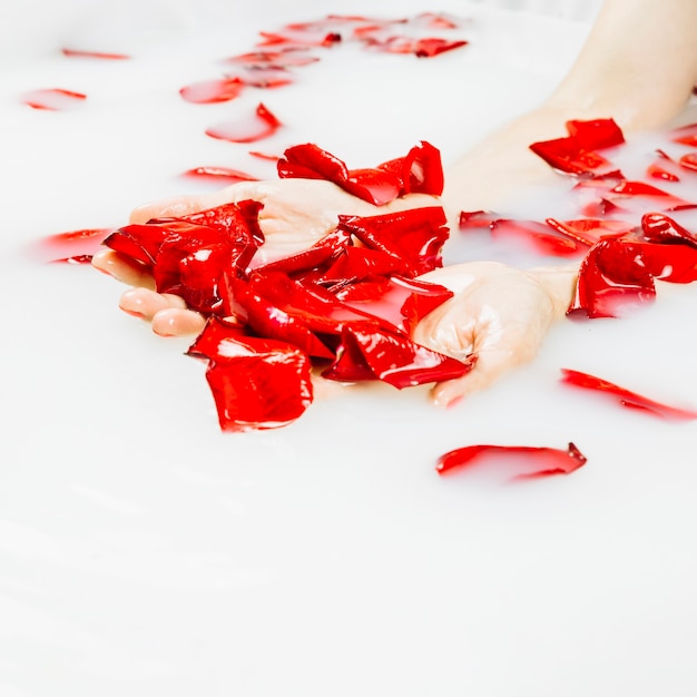 女性の手、美しい赤い花びらとスパバスで牛乳