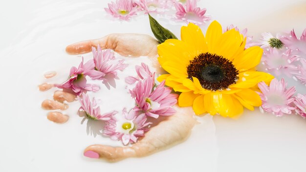 透明な白い水に繊細な黄色とピンクの花と女性の手