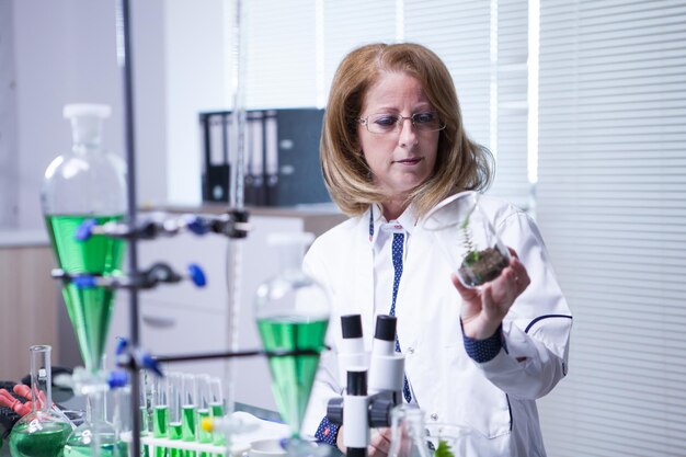 農業科学試験に最新技術を使用している女性科学者。植物研究。