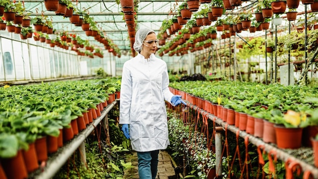 Female scientist walking though a greenhouse and examining potted flowers