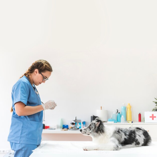 Female veterinarian standing near the dog on table in clinic