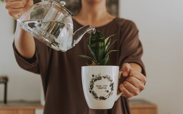 Female watering a plant in a mug with a teapot