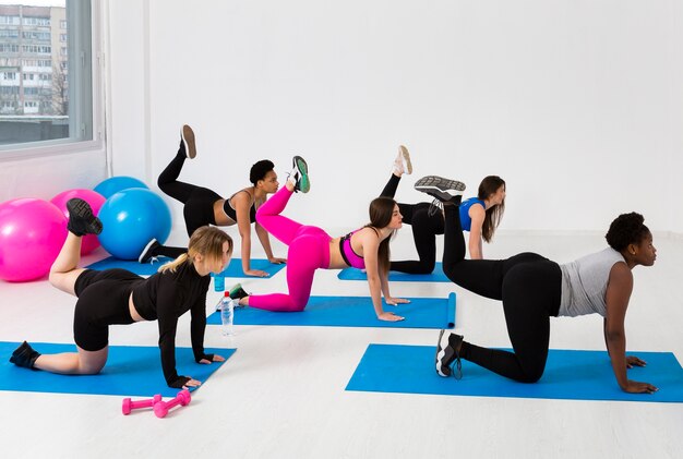 Females on mat training together