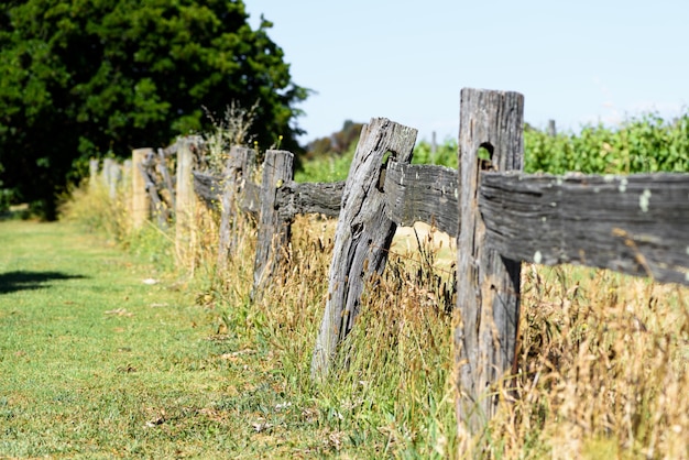 A fence outside the orchard