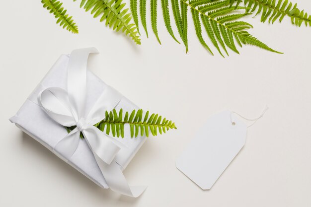 Fern leaf on white gift box with label over plain backdrop