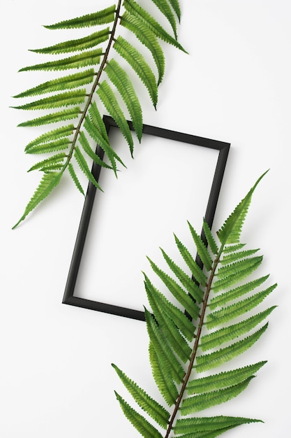 Fern leaves branch with wooden photo frame border on white surface