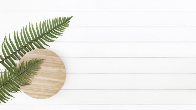 Fern leaves and circle wooden plate over white wood pannels.