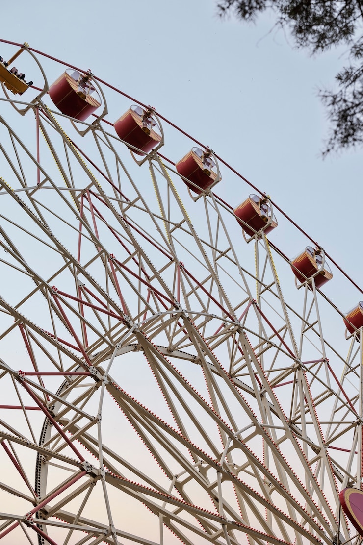 Free Photo ferris wheel at carnival low angle