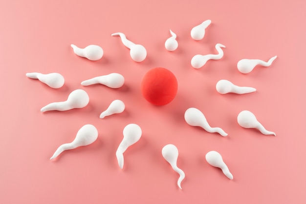 Foto gratuita fertilità ancora in vita disposizione