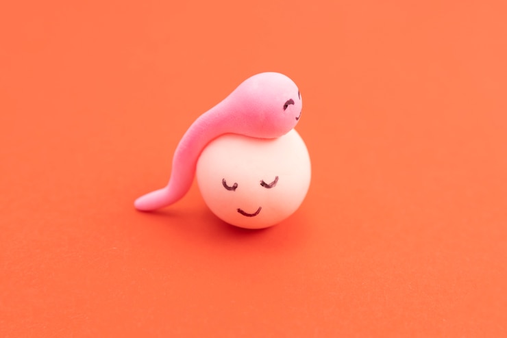 無料Photo 出産する静物画