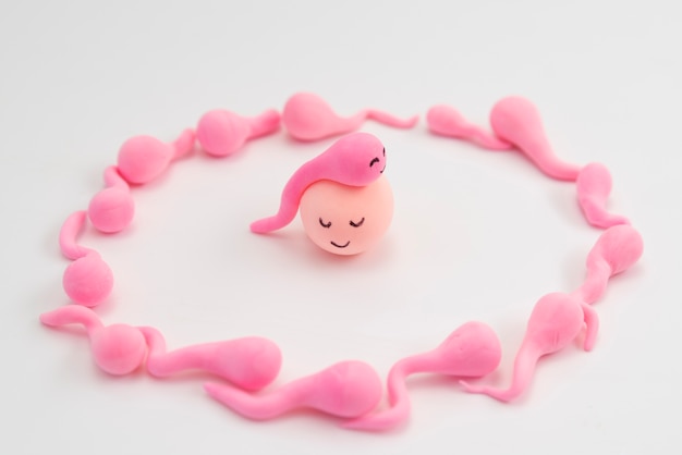 出産する静物画