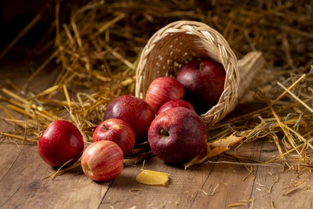 Festive cornucopia assortment with delicious fruits