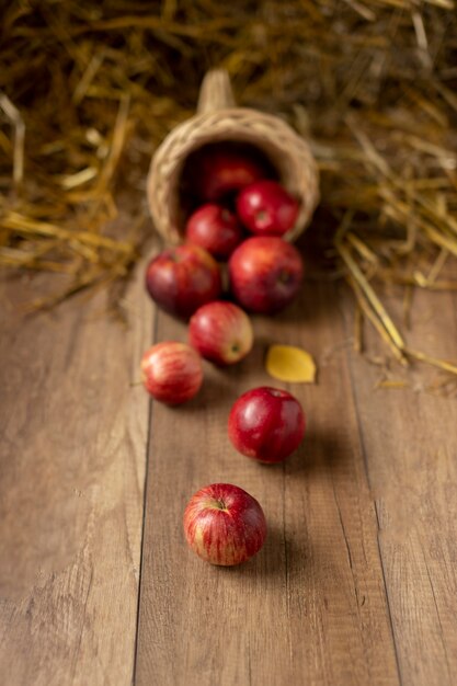 Festive cornucopia assortment with delicious fruits