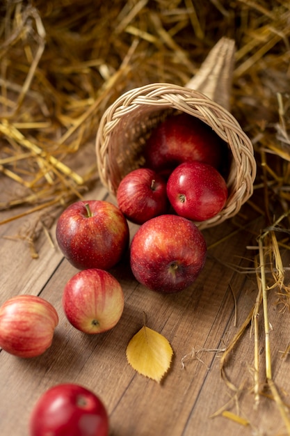 Festive cornucopia assortment with delicious fruits