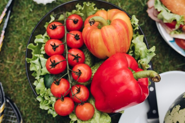 Few of fresh appetizing vegetable in plate on green grass at sunny summer day full shot