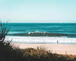 Free photo few surfers at the coast of the sea