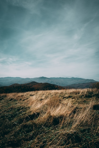 Field on a cloudy day