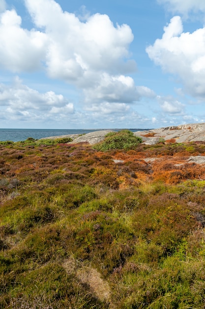 Foto gratuita campo coperto di erba e rocce circondato da un fiume sotto la luce del sole durante il giorno