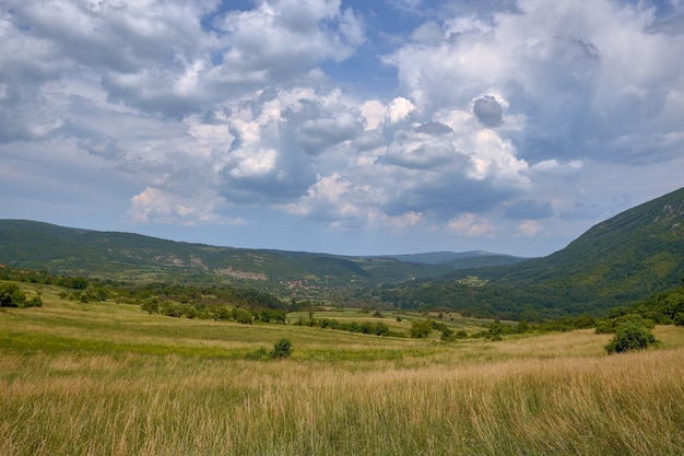 Field covered in grass and trees surrounded by hills covered in forests under the cloudy sky
