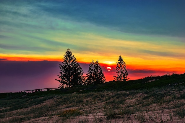 Foto gratuita campo ricoperto di erba con sagome di alberi durante un bel tramonto in serata