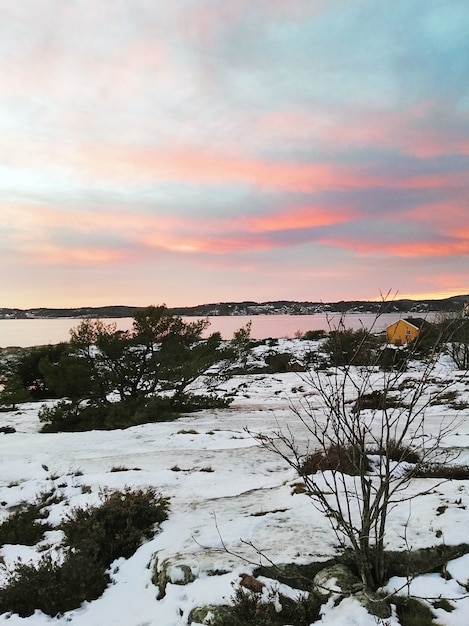 夕焼けの曇り空の下、水に囲まれた緑と雪に覆われた畑