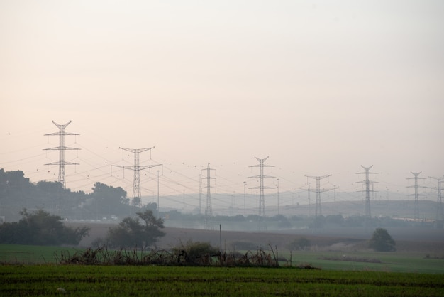 ぼやけて背景に送電鉄塔と緑に覆われたフィールド