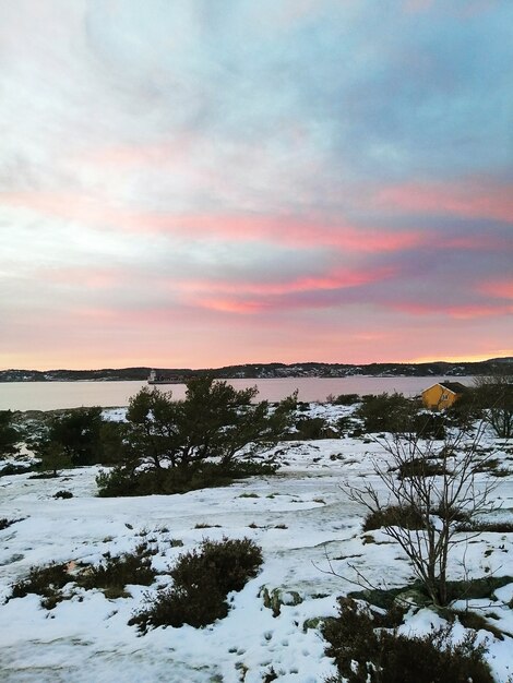 ノルウェーの日没時に曇り空の下の木々に囲まれた雪に覆われたフィールド