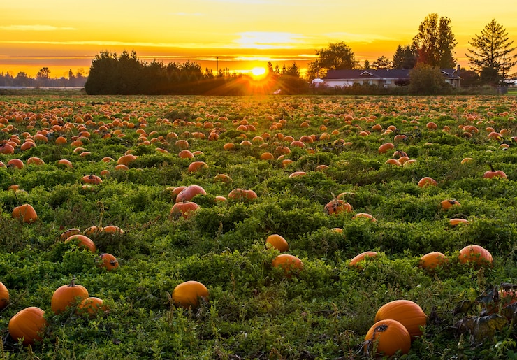 cloudflare kiwifarms cloudflare kiwifarms