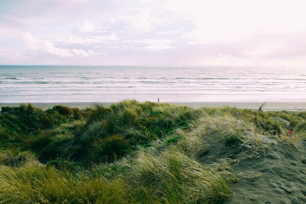 Field of green grass near the sea under the beautiful cloudy sky