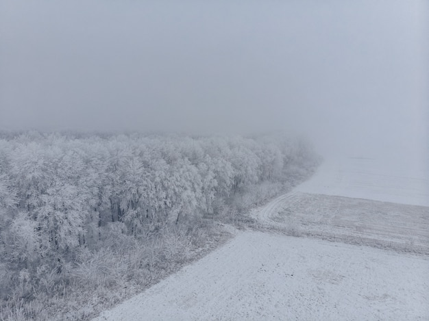 겨울에 안개 필드와 흰색 냉동 나무, 높은 공중보기