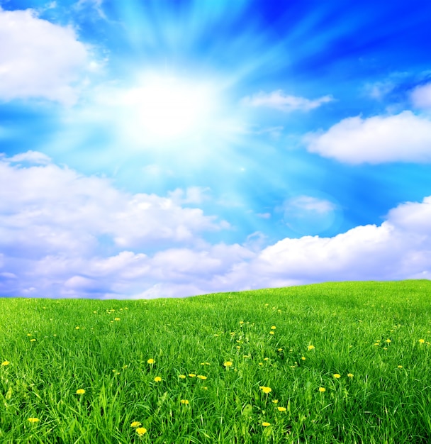 Field with clouds