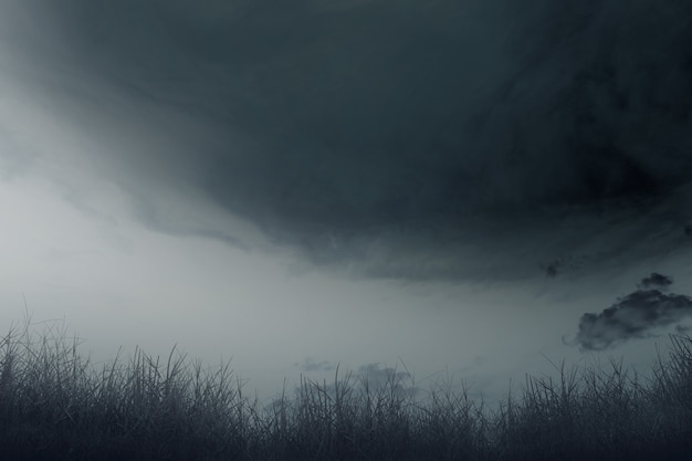 Free Photo field with the dramatic scene background