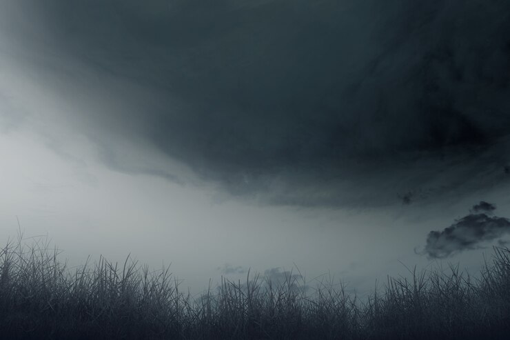 Free Photo field with the dramatic scene background