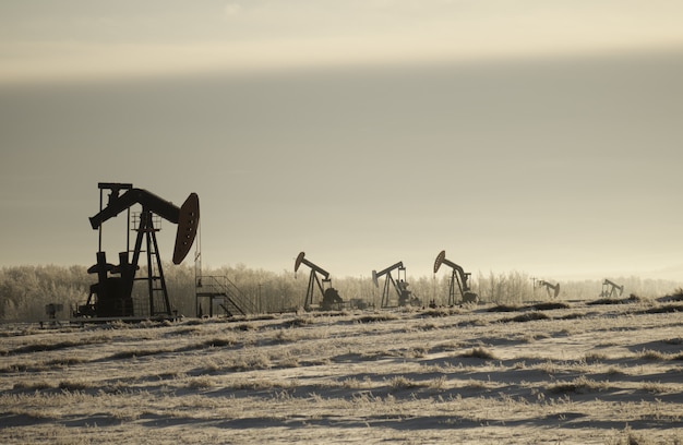 Field with oil pump jacks surrounded by greenery under a cloudy sky and sunlight