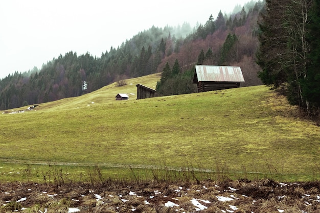 Field with two wooden barns surrounded by forests covered in fog under the cloudy sky