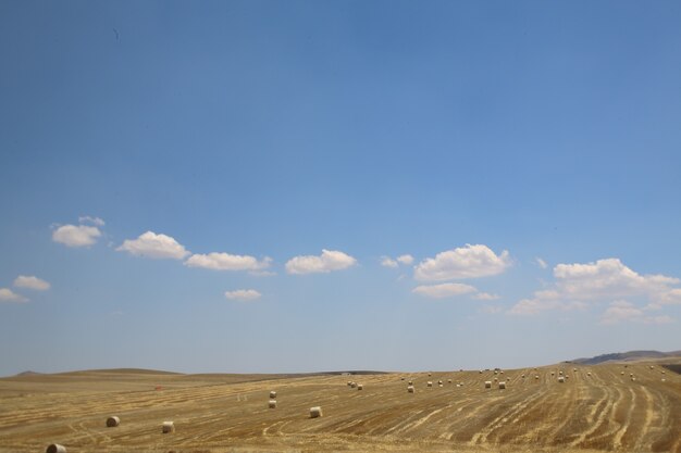 Fields under a blue cloudy sky