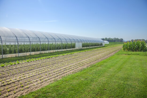 Fields and a greenhouse