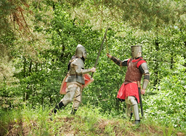 fighting knights