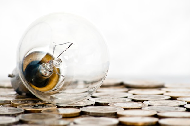 filament bulb lying on euro coins