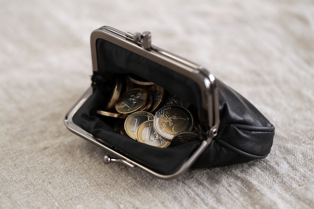 Free Photo finances. euro coins in the wallet
