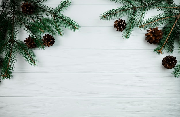 Fir branches with snags