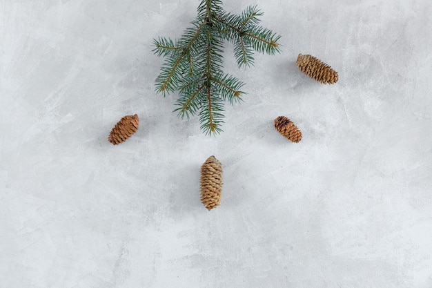 Fir tree branch with cones on grey table